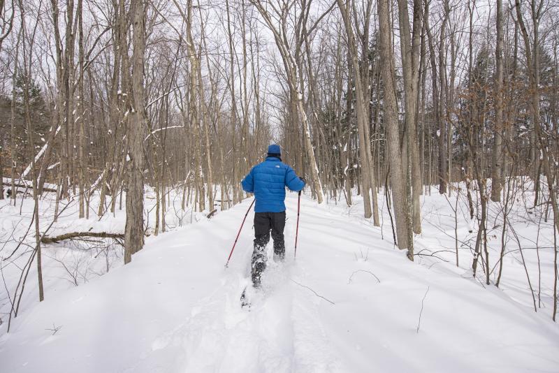 Skiing