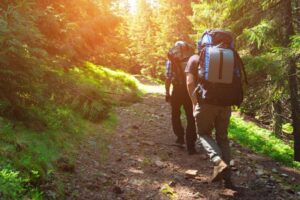 2 men hiking in the woods