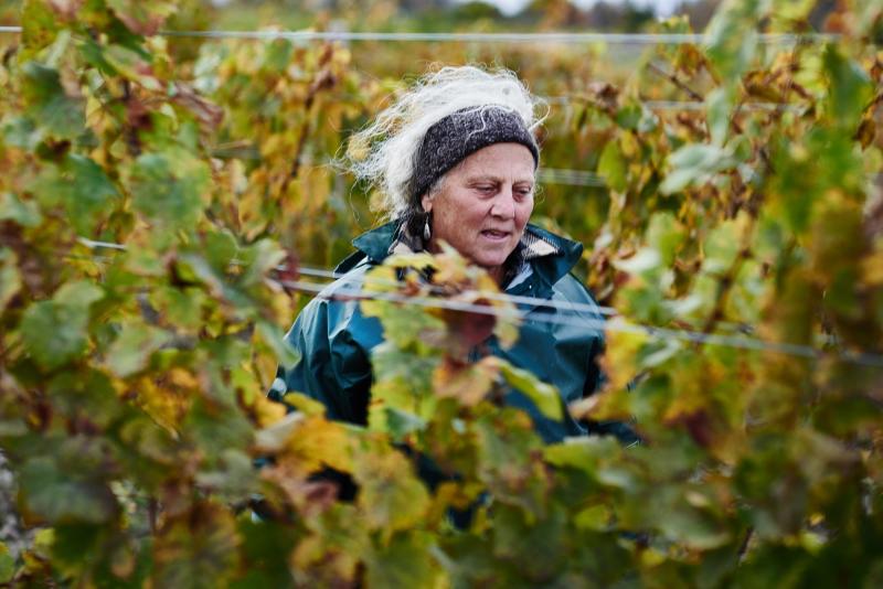 Stories of the Women Molding the Finger Lakes