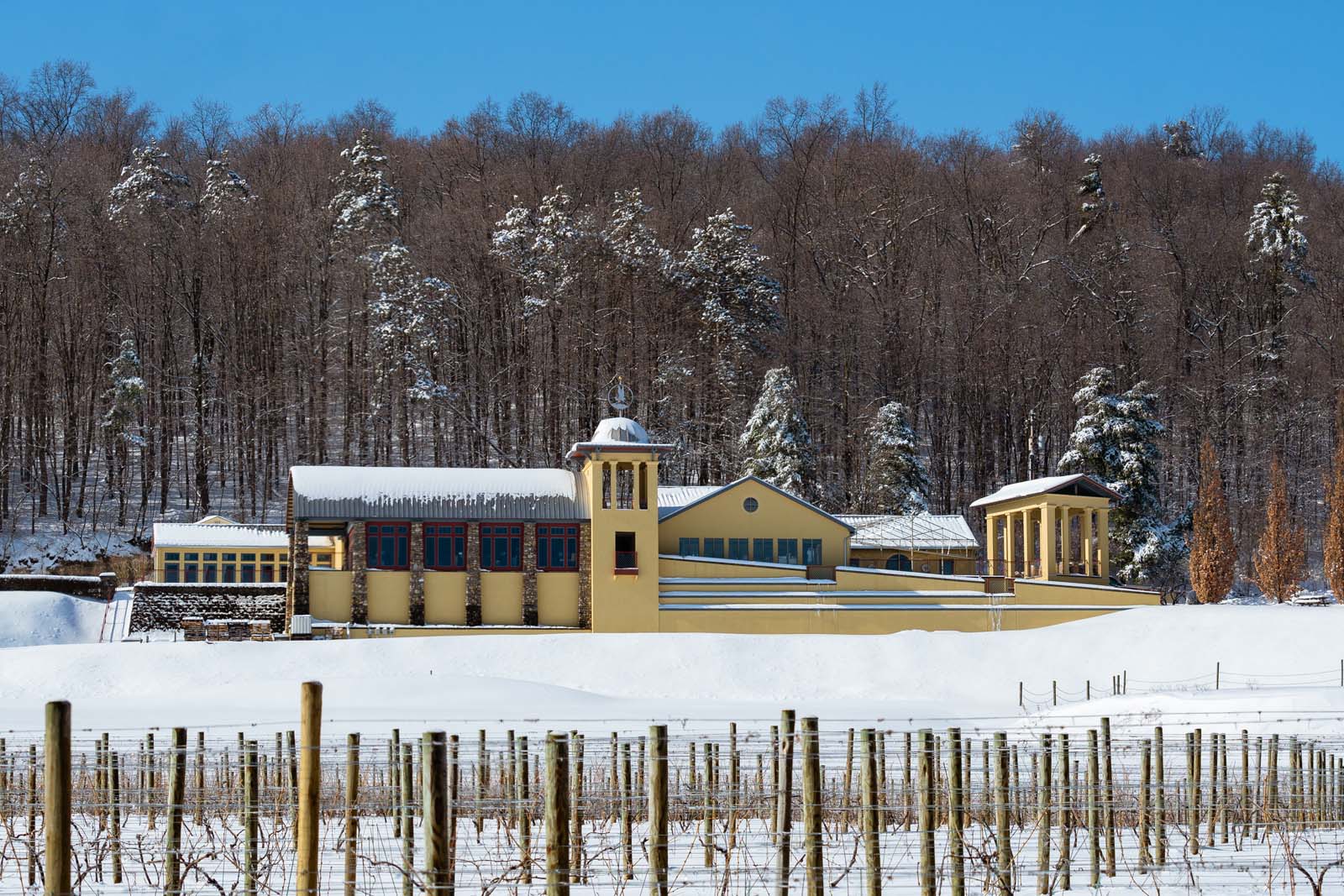 Snow in Finger Lakes Wine Country